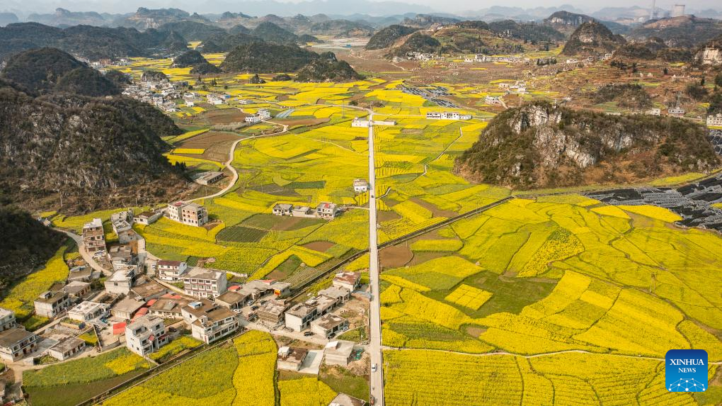 Scenery of cole flower fields in Liupanshui, China's Guizhou