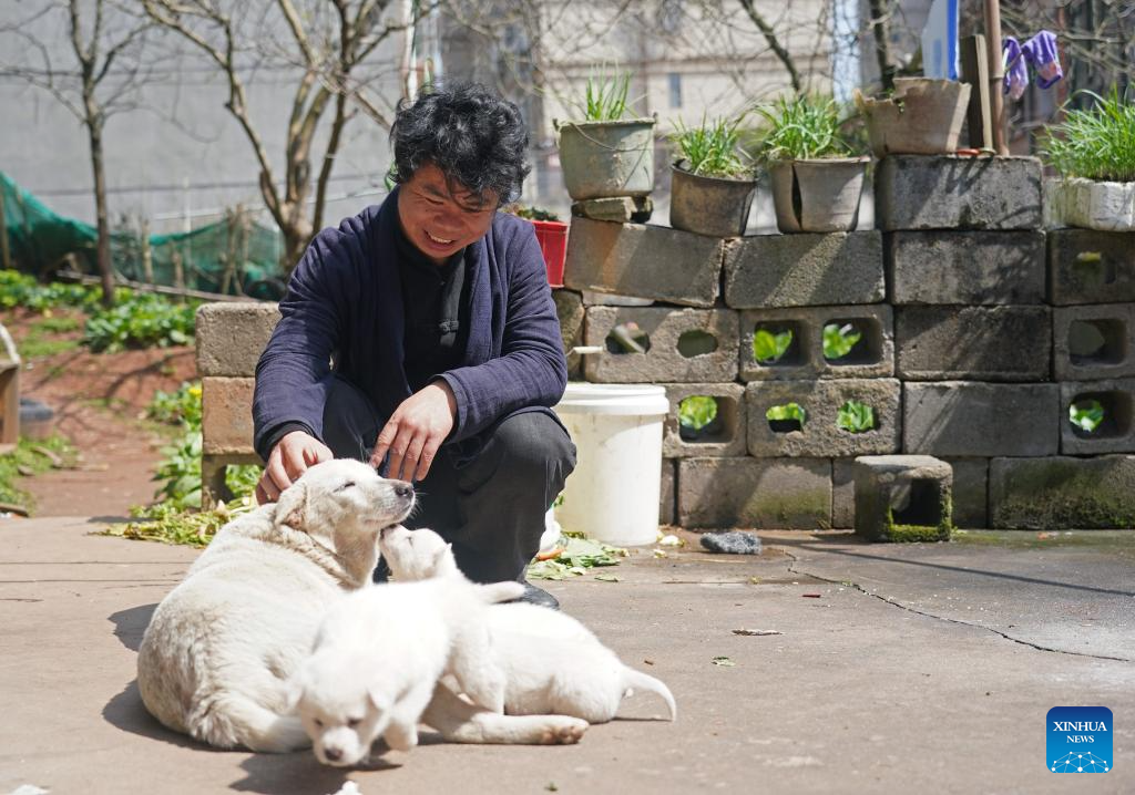 Pic story of Guqin maker in Yihuang County, China's Jiangxi