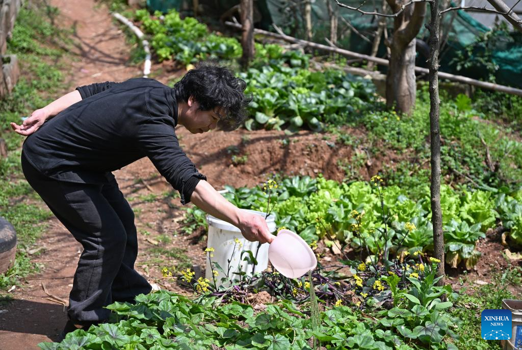 Pic story of Guqin maker in Yihuang County, China's Jiangxi