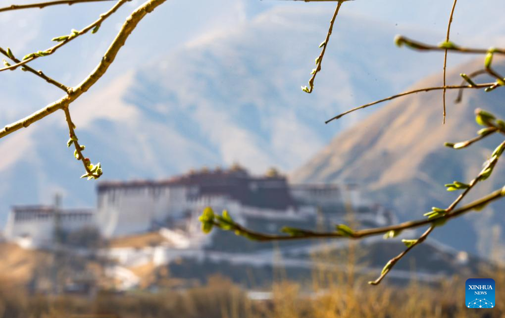 Spring scenery in Lhasa, SW China