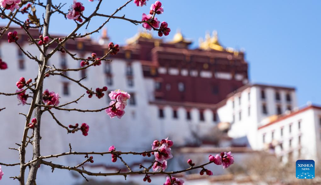 Spring scenery in Lhasa, SW China
