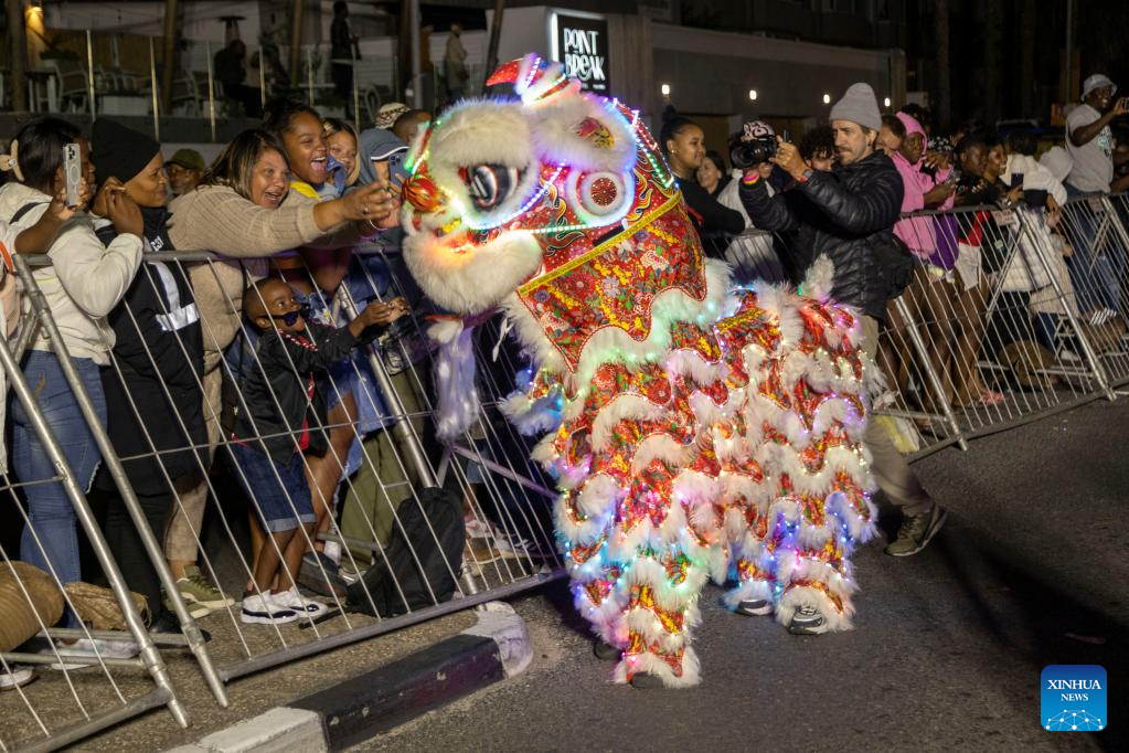 Cape Town Carnival showcases Chinese cultural highlights