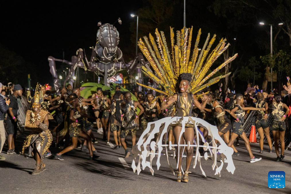 Cape Town Carnival showcases Chinese cultural highlights