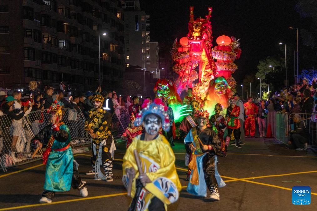 Cape Town Carnival showcases Chinese cultural highlights