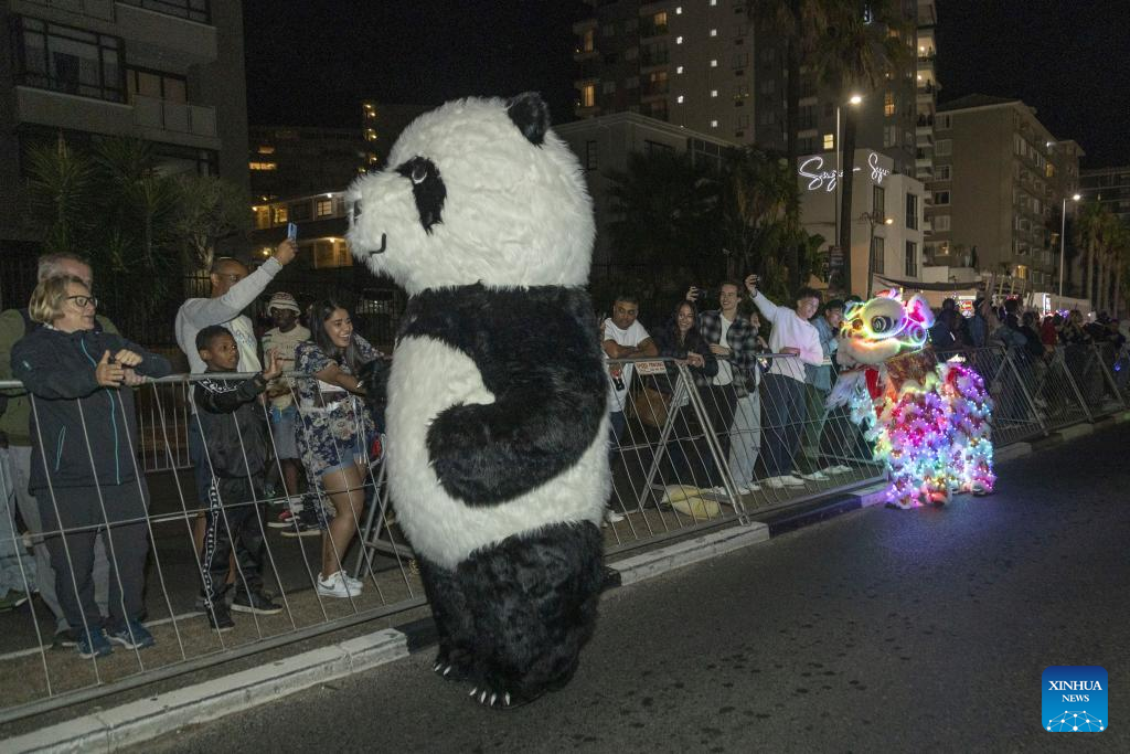 Cape Town Carnival showcases Chinese cultural highlights