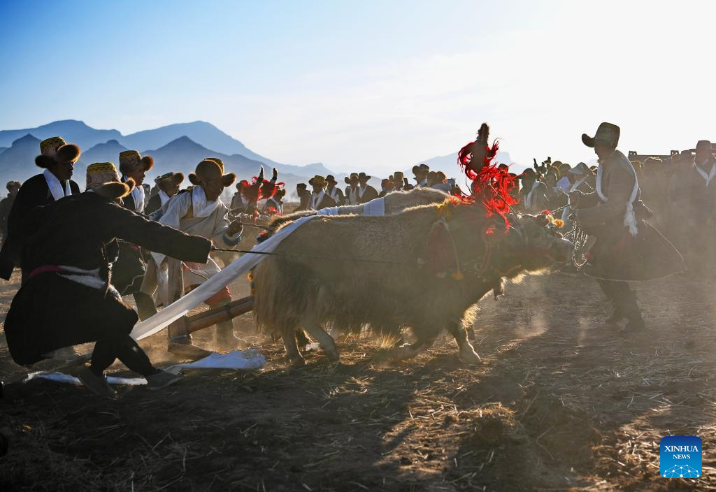 Ceremonies marking start of spring farming held in Xizang