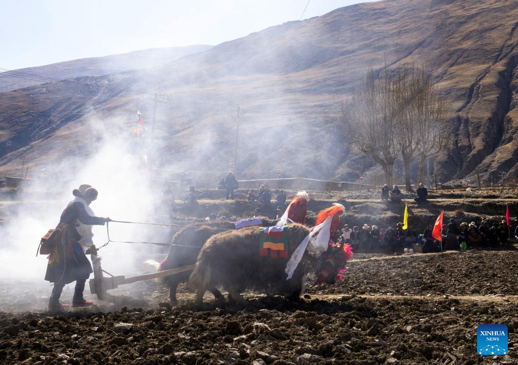 Ceremonies marking start of spring farming held in Xizang