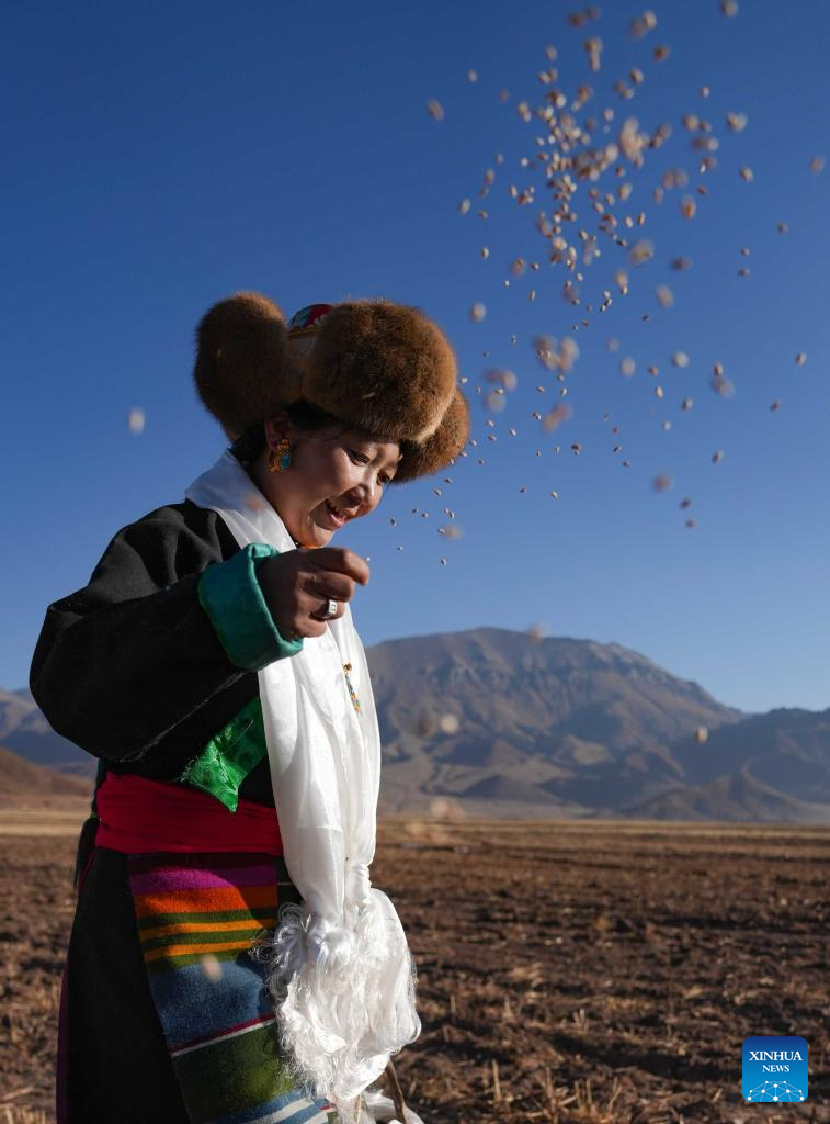 Ceremonies marking start of spring farming held in Xizang