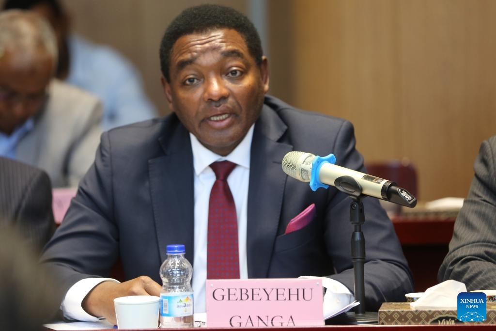 Officials, scholars hail BRI's role in promoting development in Ethiopia