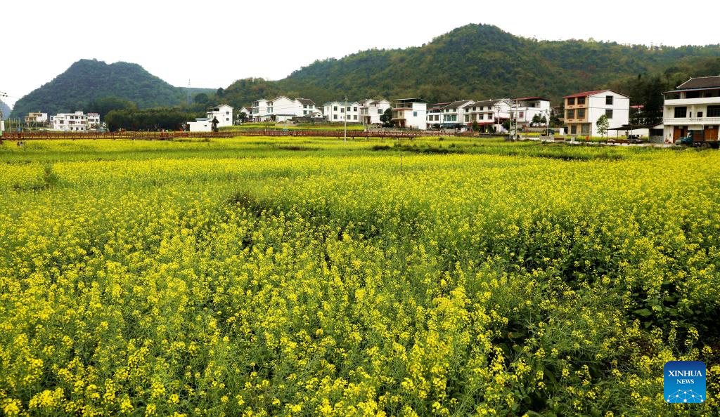 Spring view of Guangxi, S China