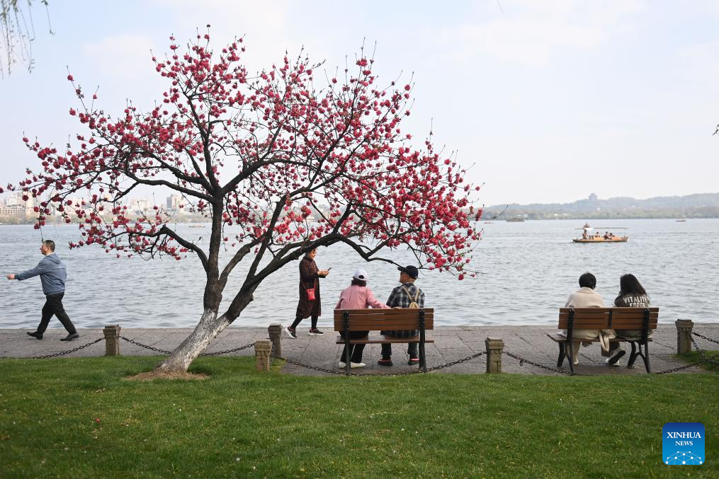 Tourists enjoy spring at West Lake scenic area in Hangzhou
