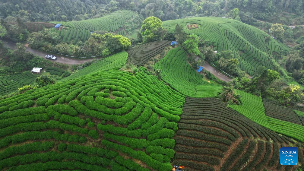 Spring scenery in China's Guangxi