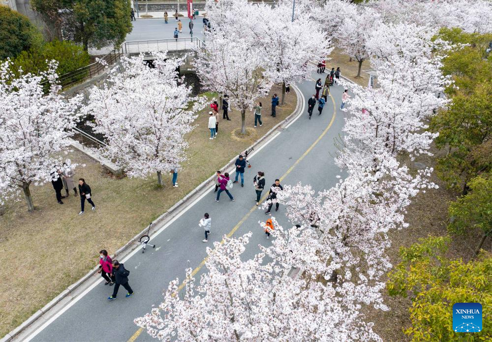 Flowers bloom across China in spring