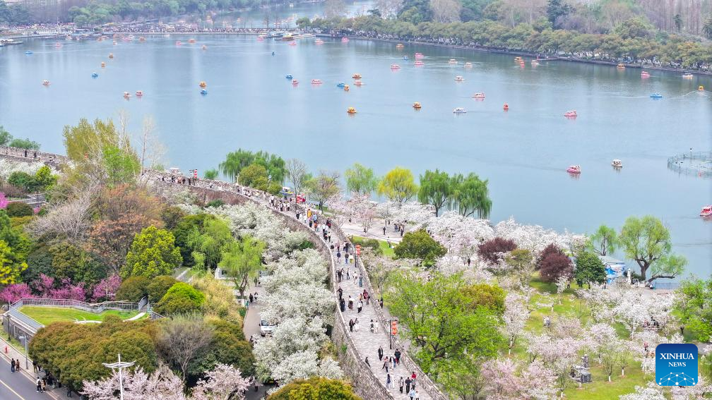 Flowers bloom across China in spring