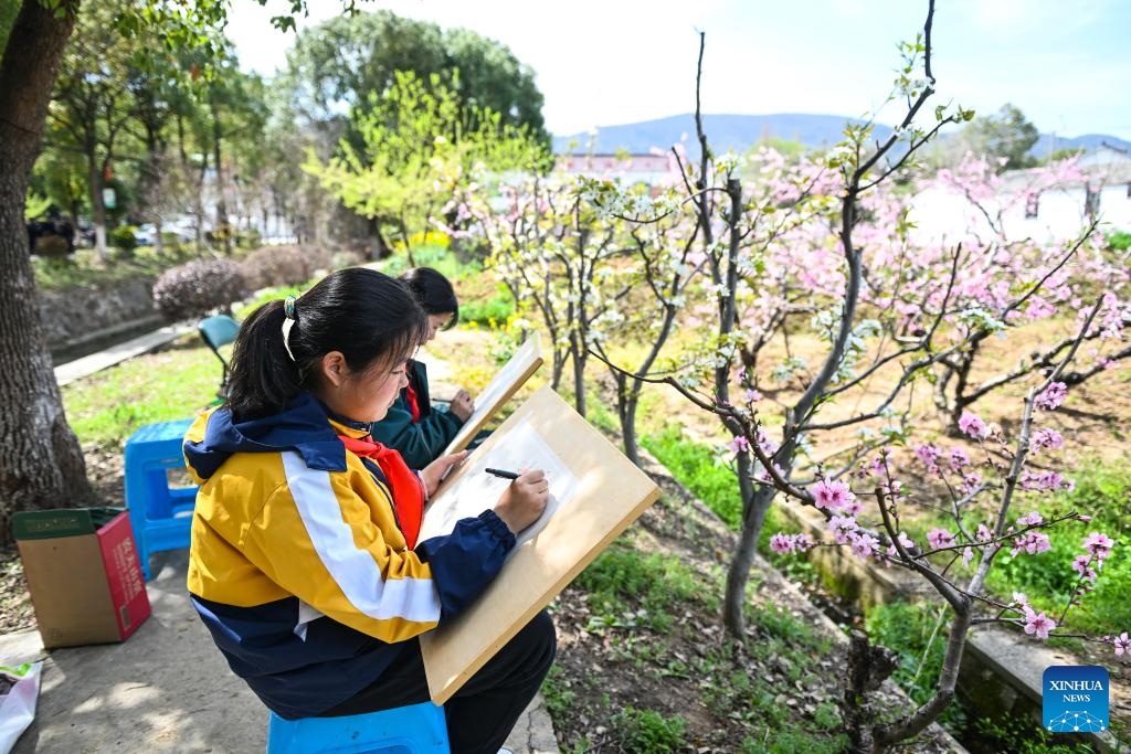 Scenery of peach blossoms in east China