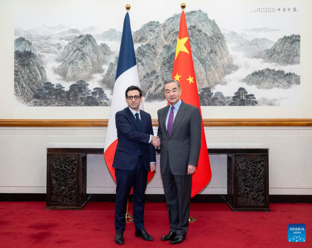 Chinese, French FMs hold talks on closer ties