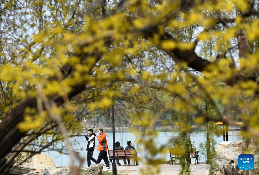 Tourists visit Yuanmingyuan Park in Beijing