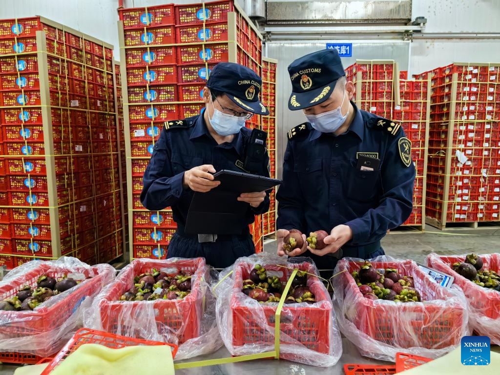 Economic Watch: Land-sea corridor facilitates fruit trade between China, ASEAN