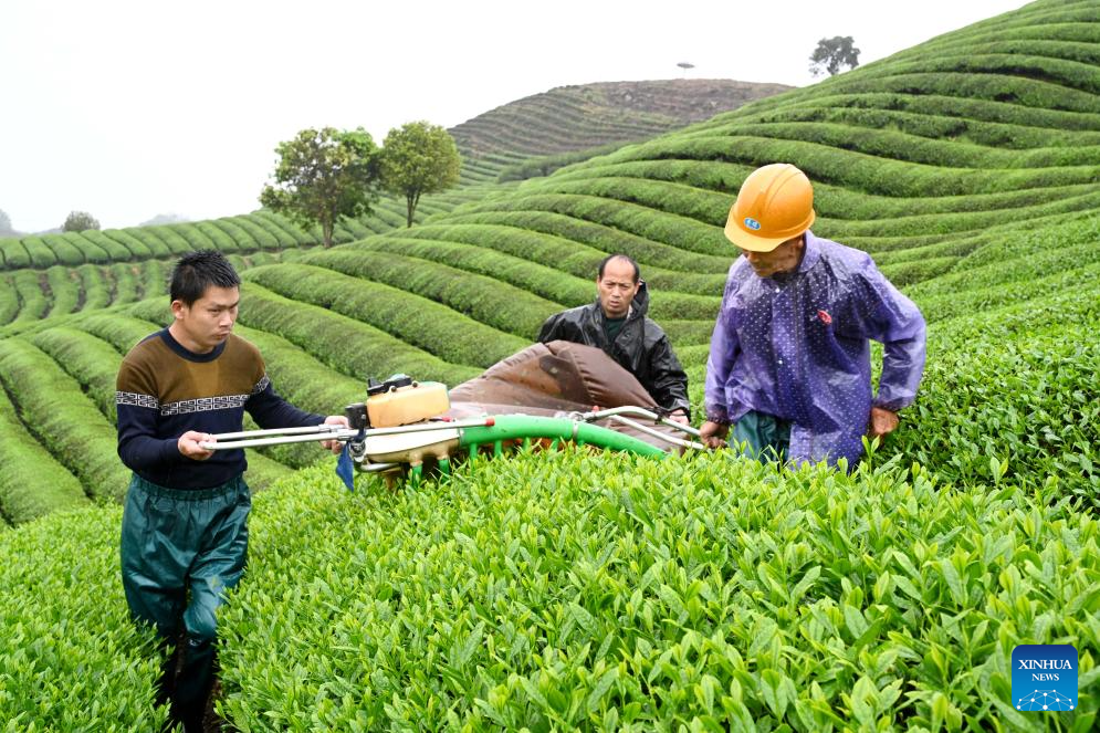 Spring farming in full swing across China during Qingming festival