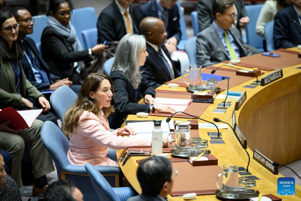 UN Security Council revisits Palestine's UN membership application