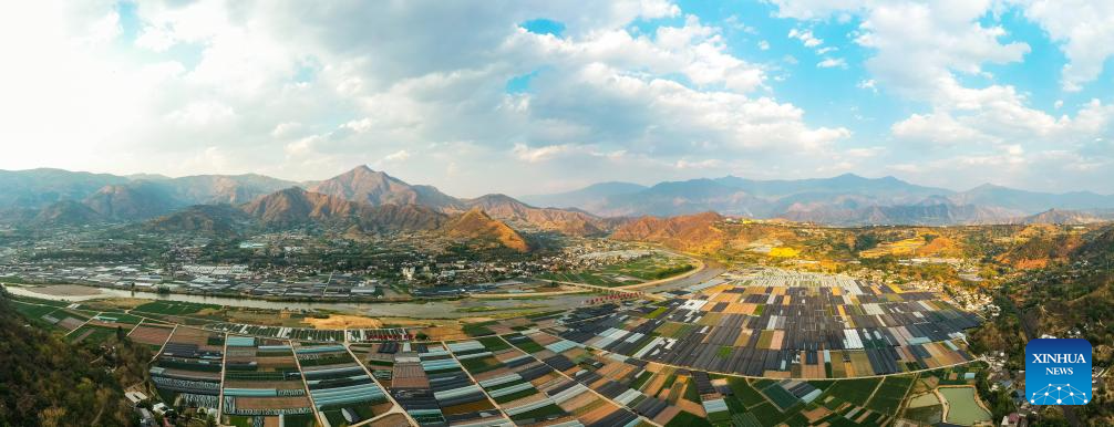 Modern science and technology boost agricultural development in SW China