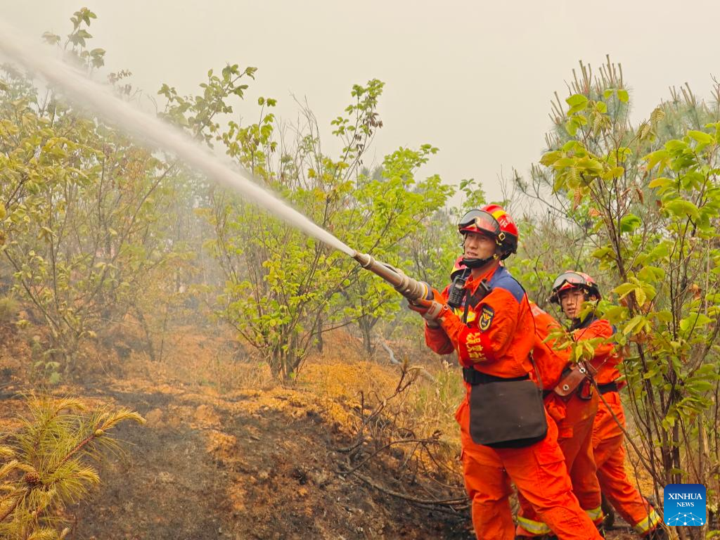 Over 2,300 people battling forest fire in southwest China