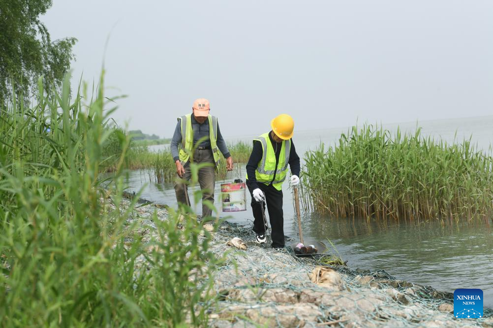 Improved ecological environment boosts economic development around Taihu Lake, E China's Zhejiang
