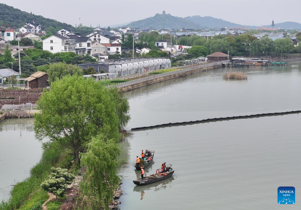 Improved ecological environment boosts economic development around Taihu Lake, E China's Zhejiang
