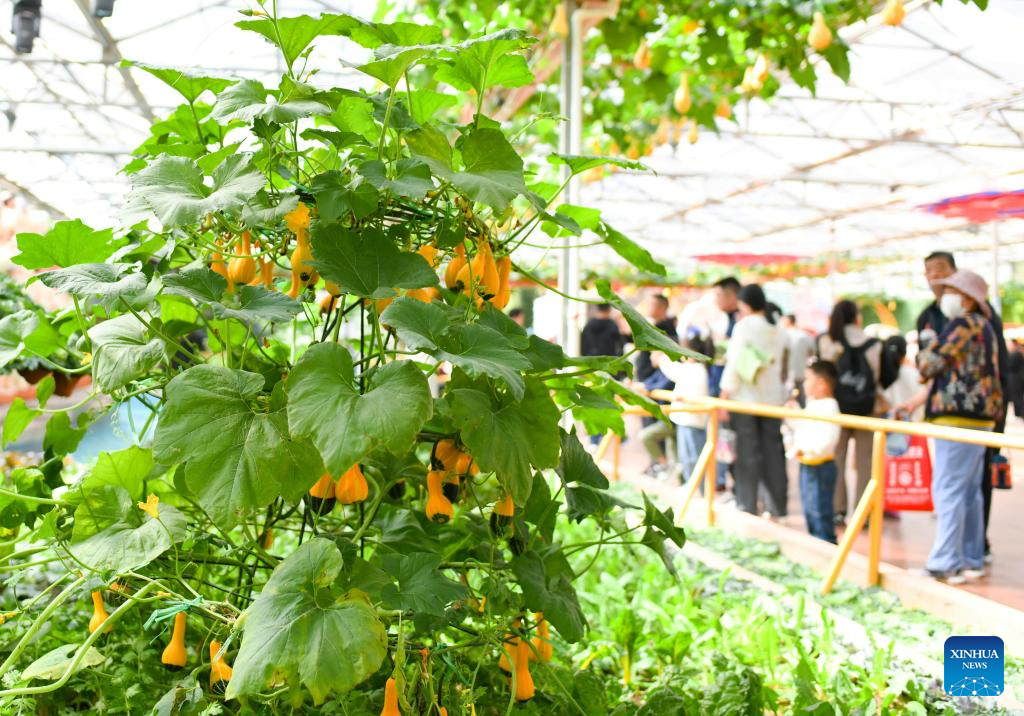 25th China (Shouguang) Int'l Vegetable Science and Technology Expo kicks off in Shandong