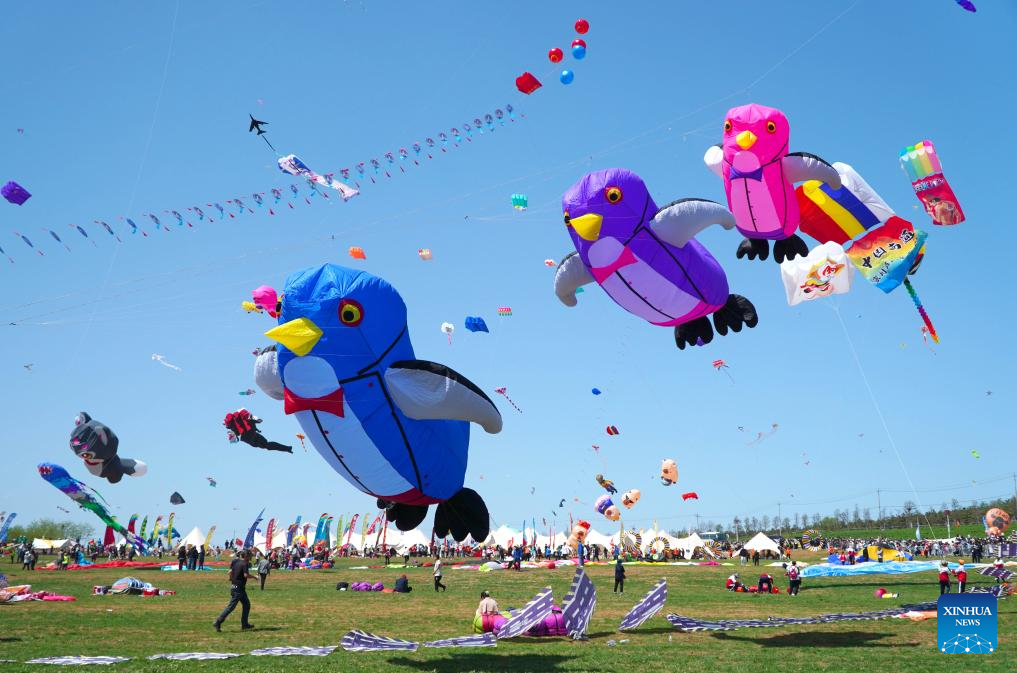 41st Weifang Int'l Kite Festival kicks off in Shandong