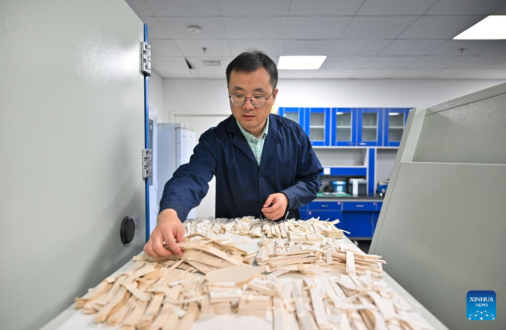 Pic story: expert dedicated to ancient book restoration