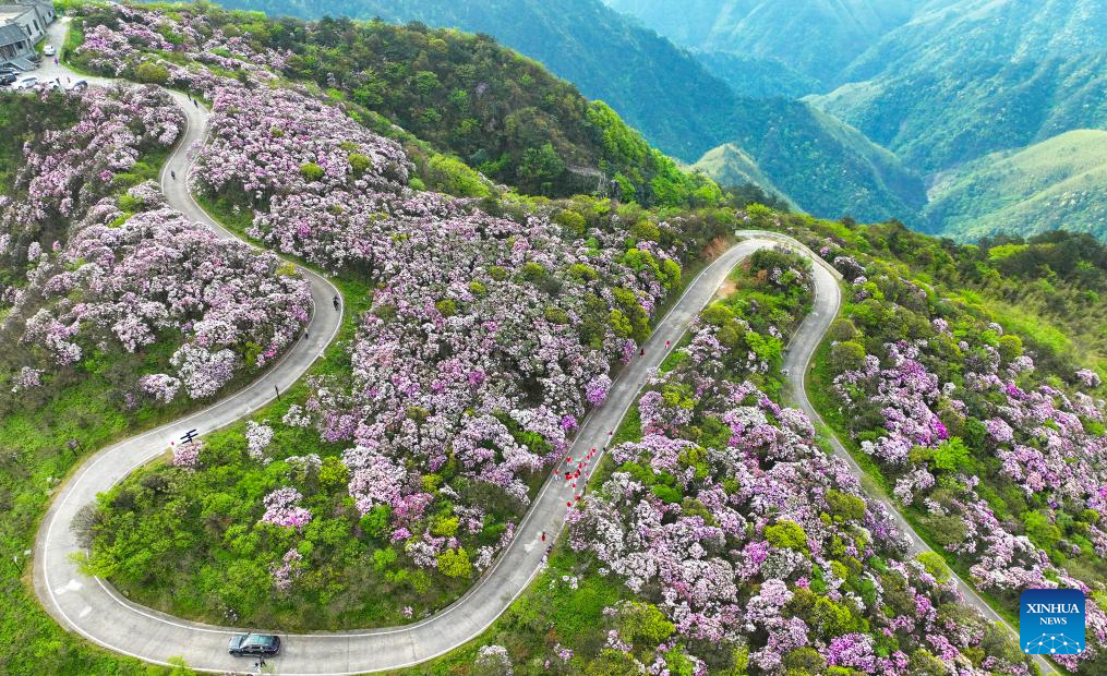 Amazing spring scenery across China
