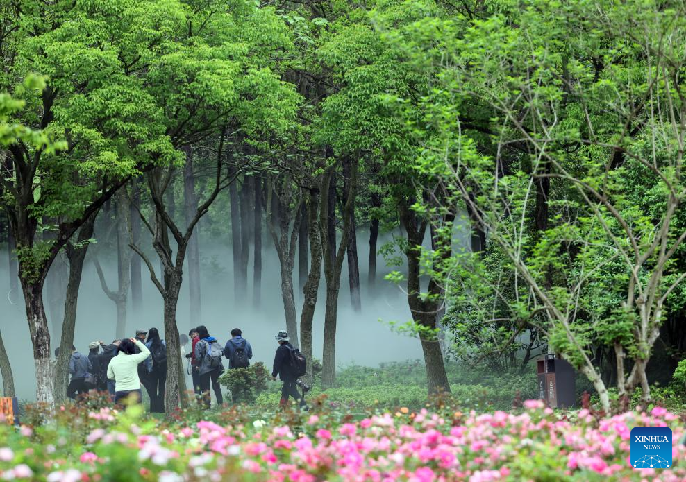 Jiaxing Botanical Garden completes new round of renovation in E China's Zhejiang