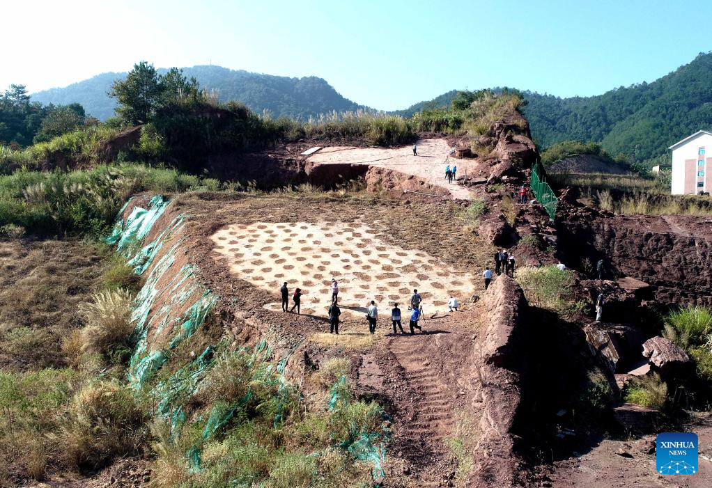 World's largest deinonychosaur tracks discovered in China's Fujian