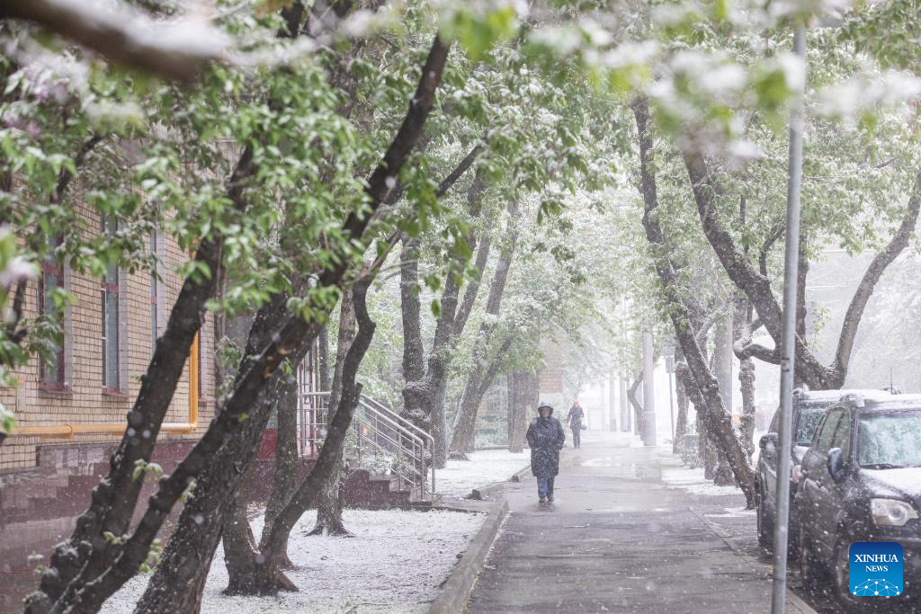 In pics: heavy snow in Moscow