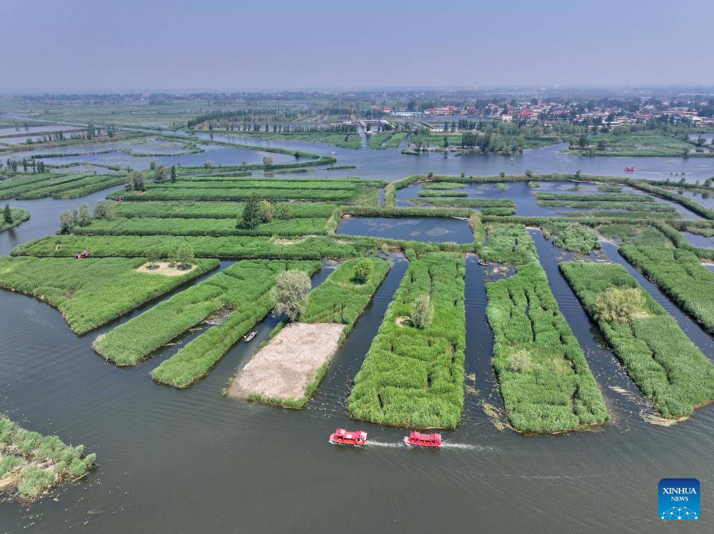 Water quality of Baiyangdian Lake in north China improves after protection activities