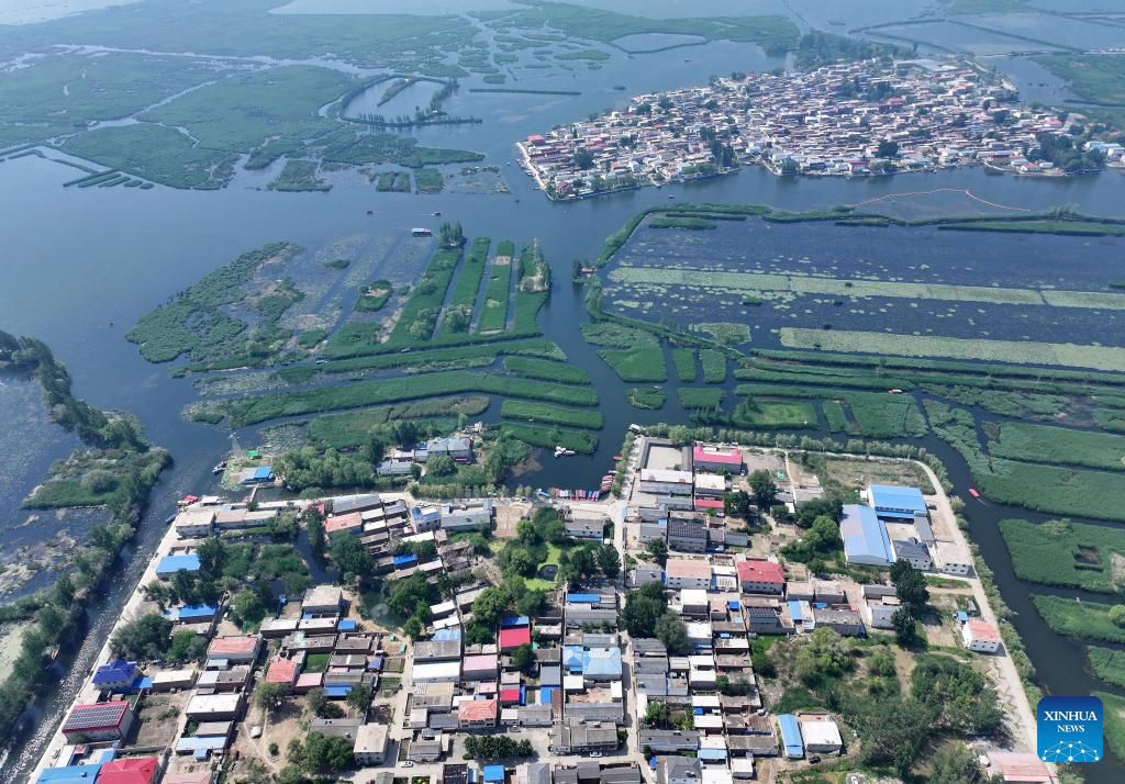 Water quality of Baiyangdian Lake in north China improves after protection activities