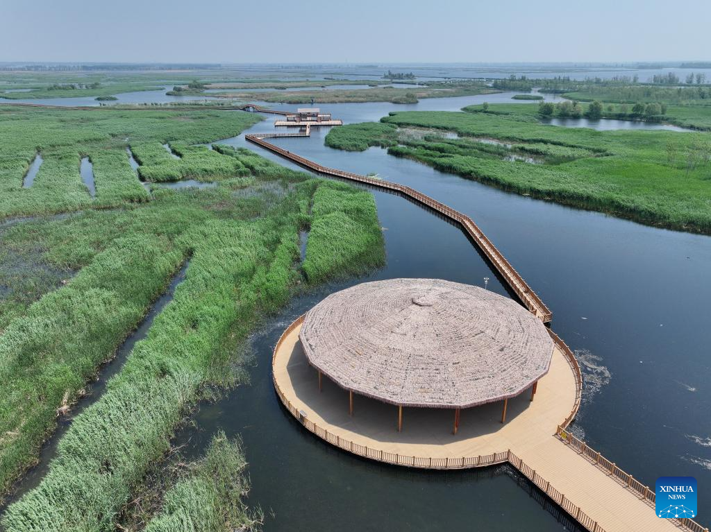 Water quality of Baiyangdian Lake in north China improves after protection activities