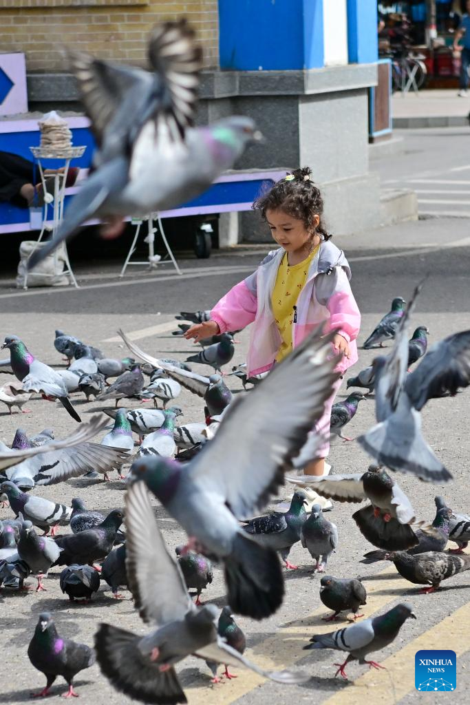 Xinjiang attracts tourists during summer