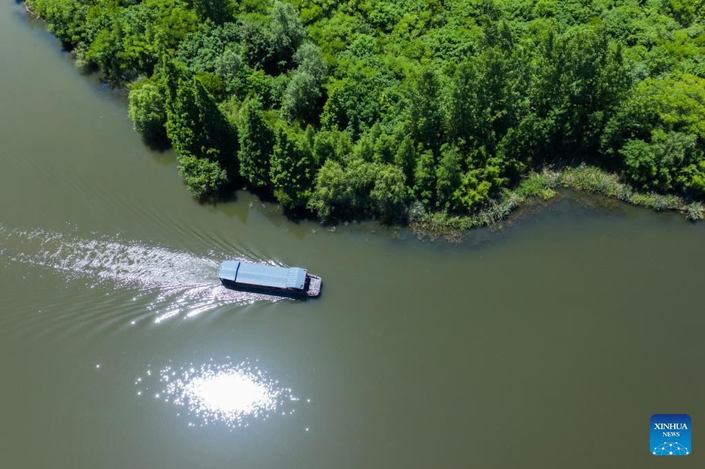 Zhejiang's national wetland park makes efforts to improve ecological environment