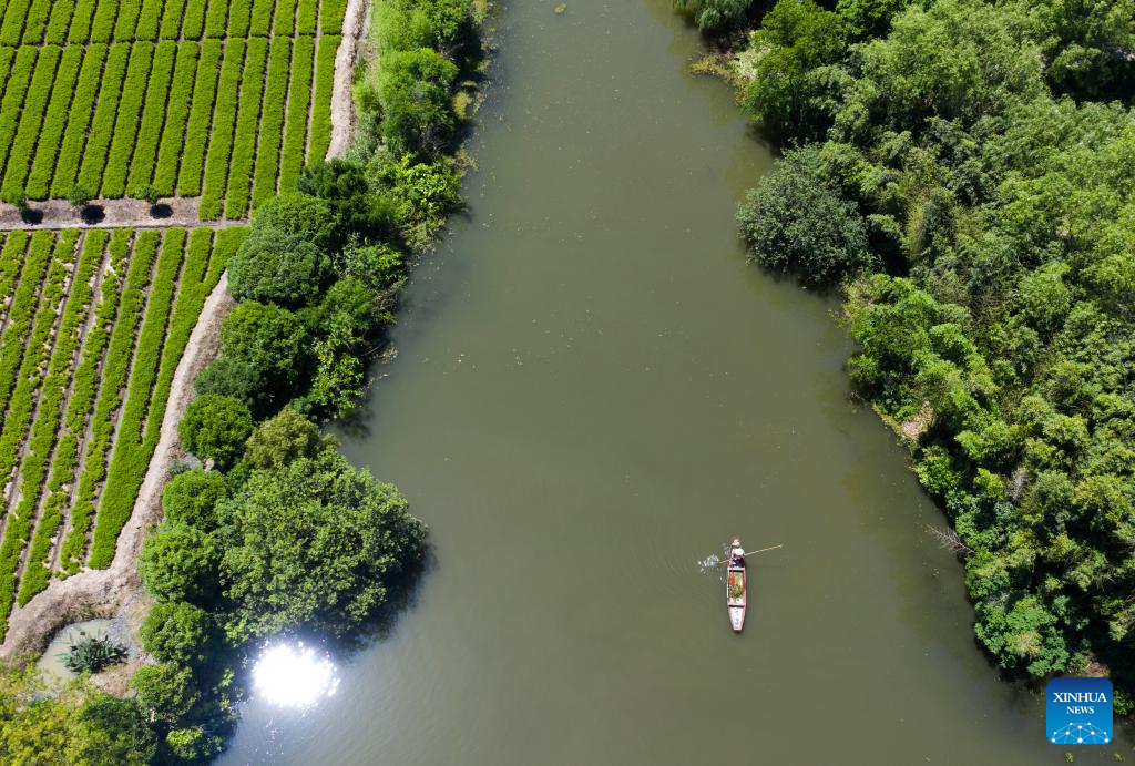 Zhejiang's national wetland park makes efforts to improve ecological environment