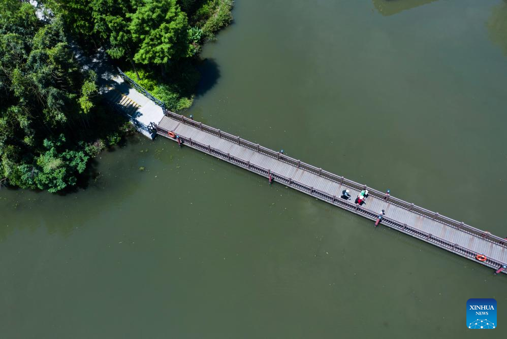 Zhejiang's national wetland park makes efforts to improve ecological environment