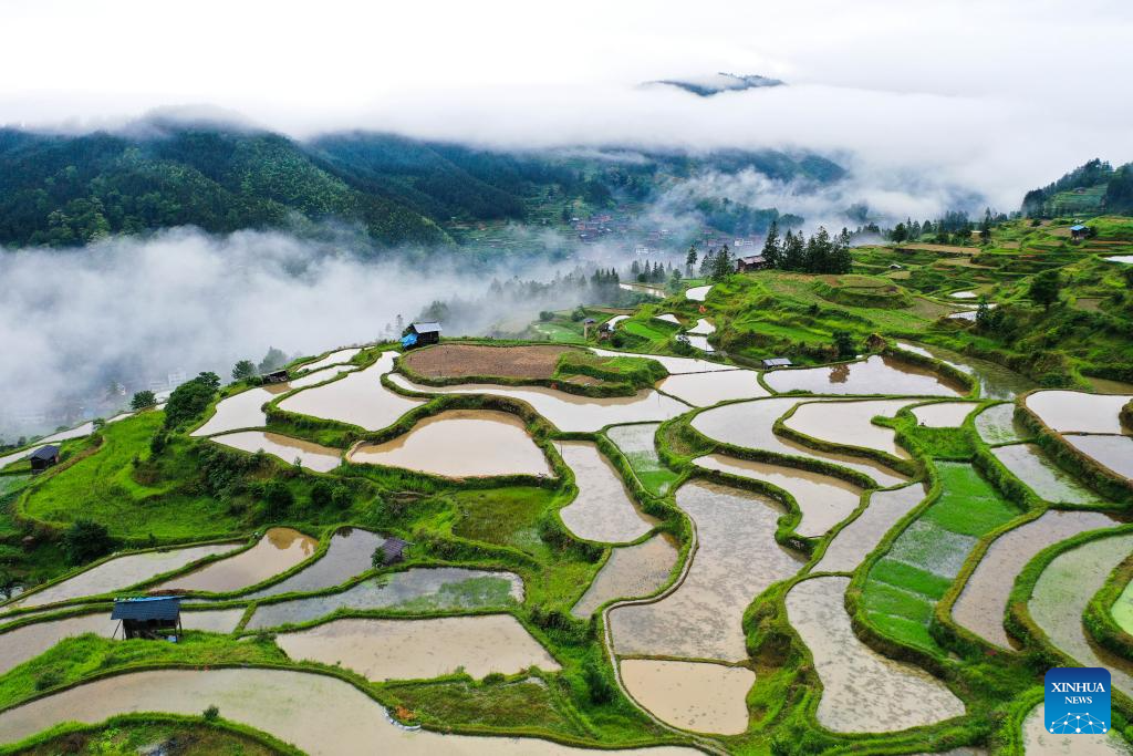 Aerial view of terrace in SW China's Guizhou