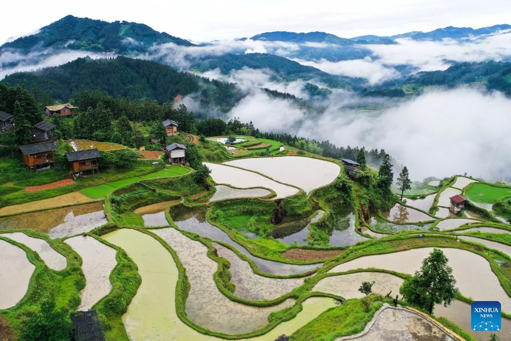 Aerial view of terrace in SW China's Guizhou