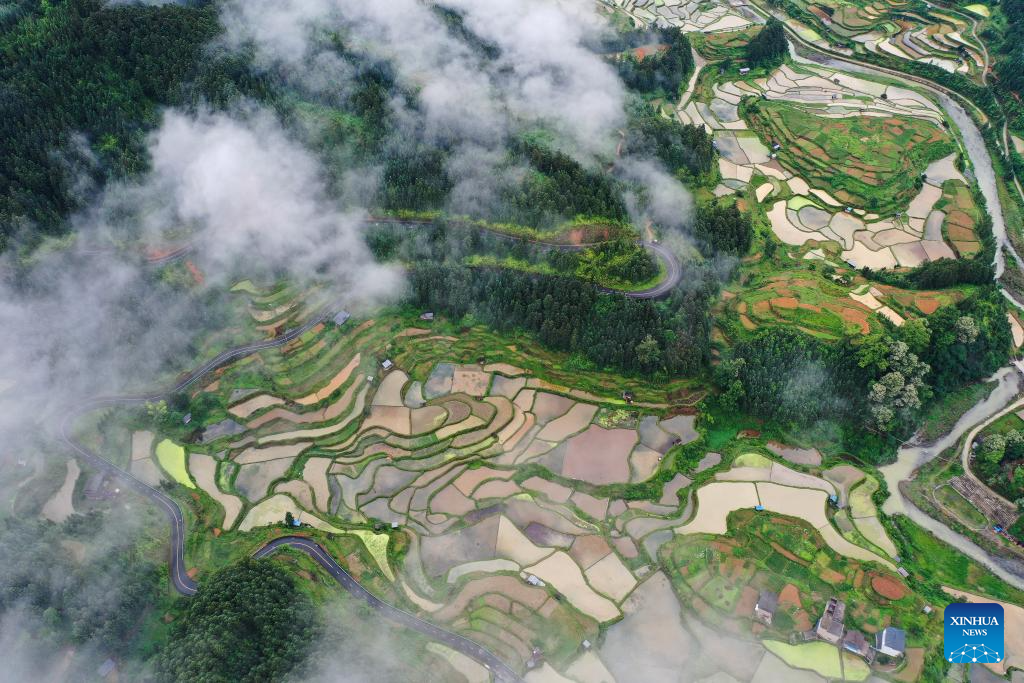 Aerial view of terrace in SW China's Guizhou