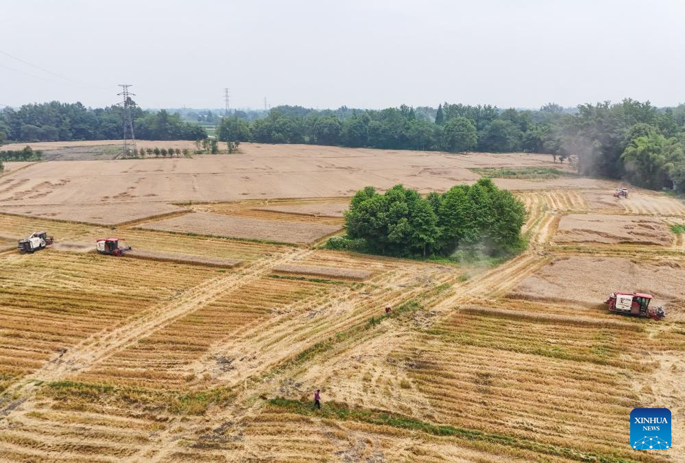 Young farmer uses modern technology to empower traditional agriculture in SW China