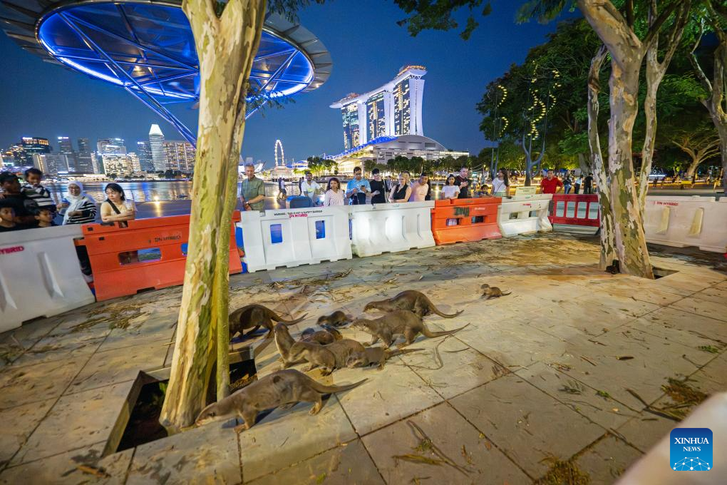 World Otter Day celebrated in Singapore
