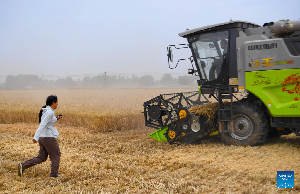 Pic story: female operator aids villagers with combine harvester