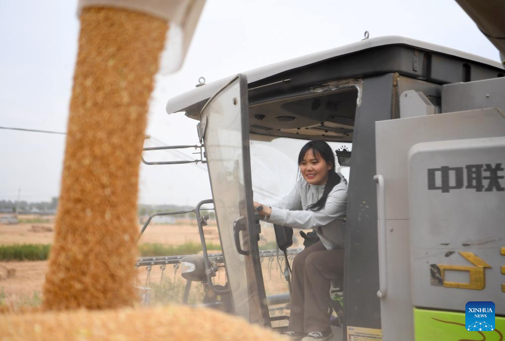 Pic story: female operator aids villagers with combine harvester