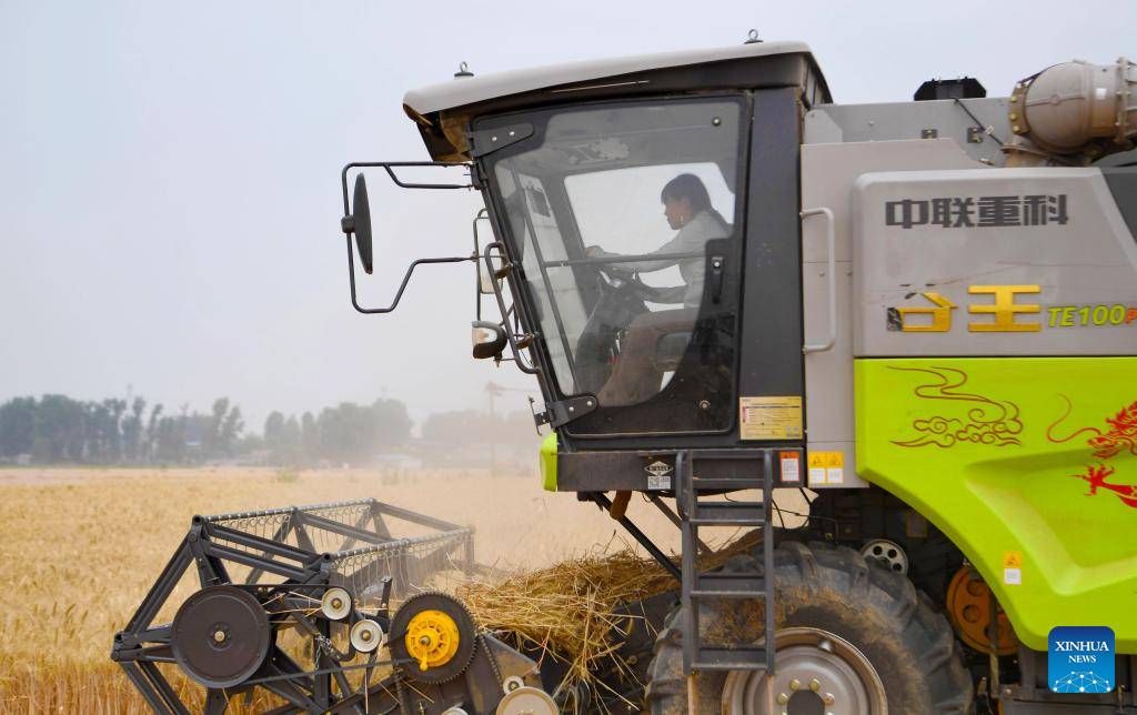 Pic story: female operator aids villagers with combine harvester